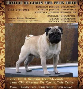 Otec Mops s pp