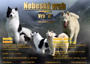 Nebeský vrch - Vrh 