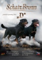  Štěňata rotvajlera s PP - Rottweiler (RTW) - Rotvajler štěně
